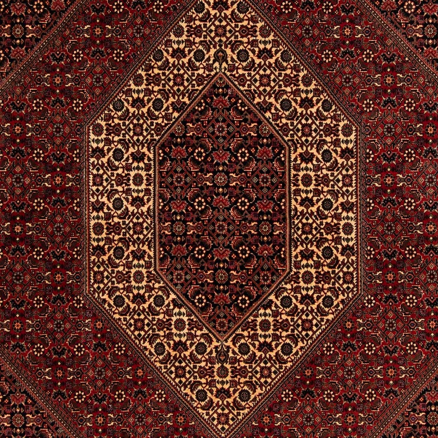 Tapis persan - Bidjar - 248 x 200 cm - rouge foncé