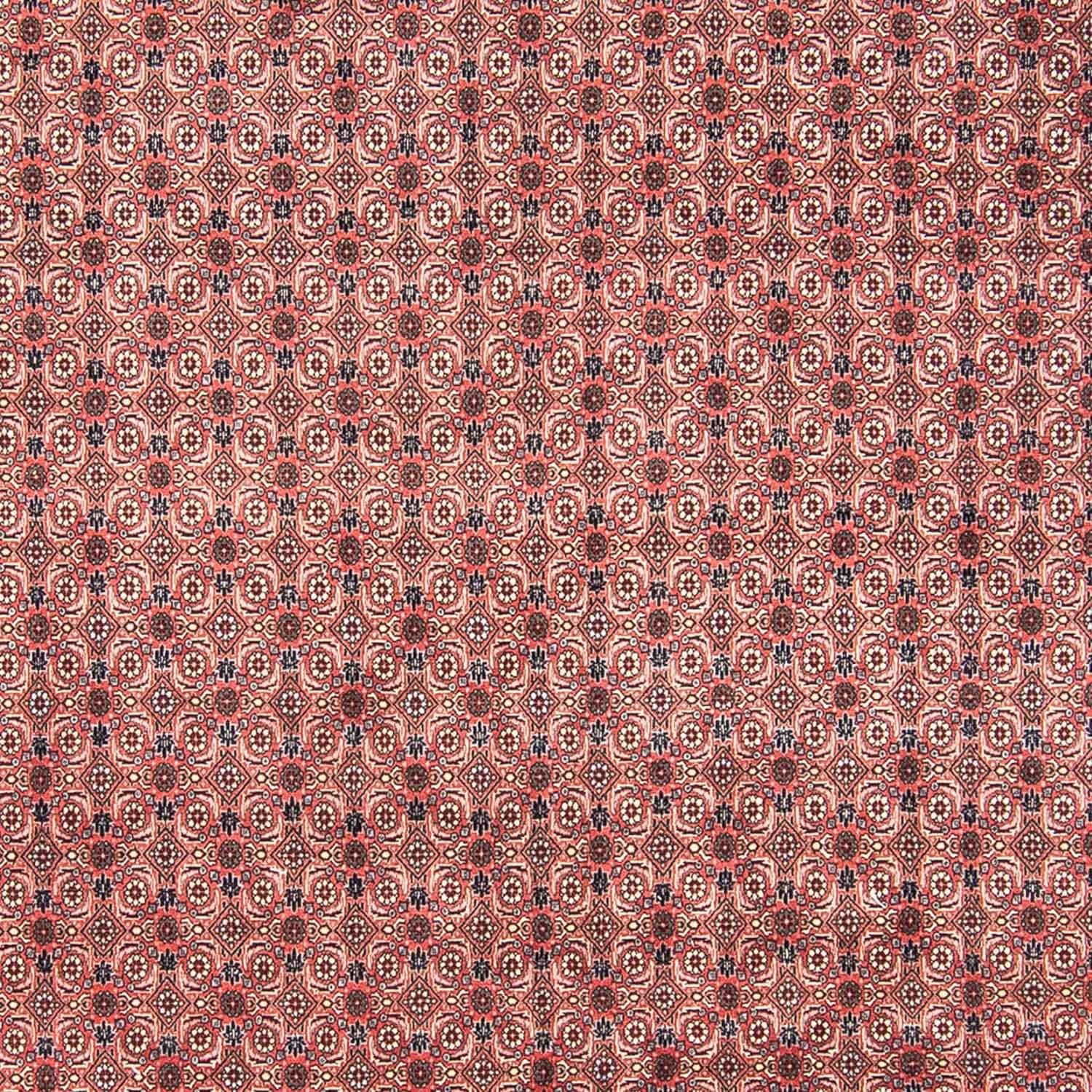Tapis persan - Bidjar - 308 x 254 cm - rouge clair