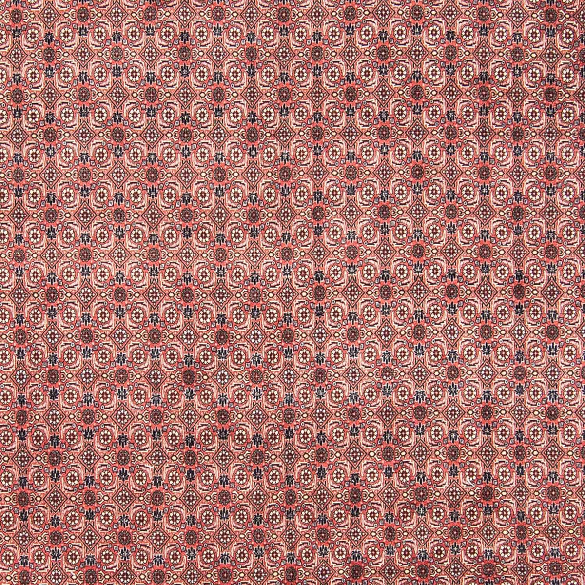 Tapis persan - Bidjar - 308 x 254 cm - rouge clair