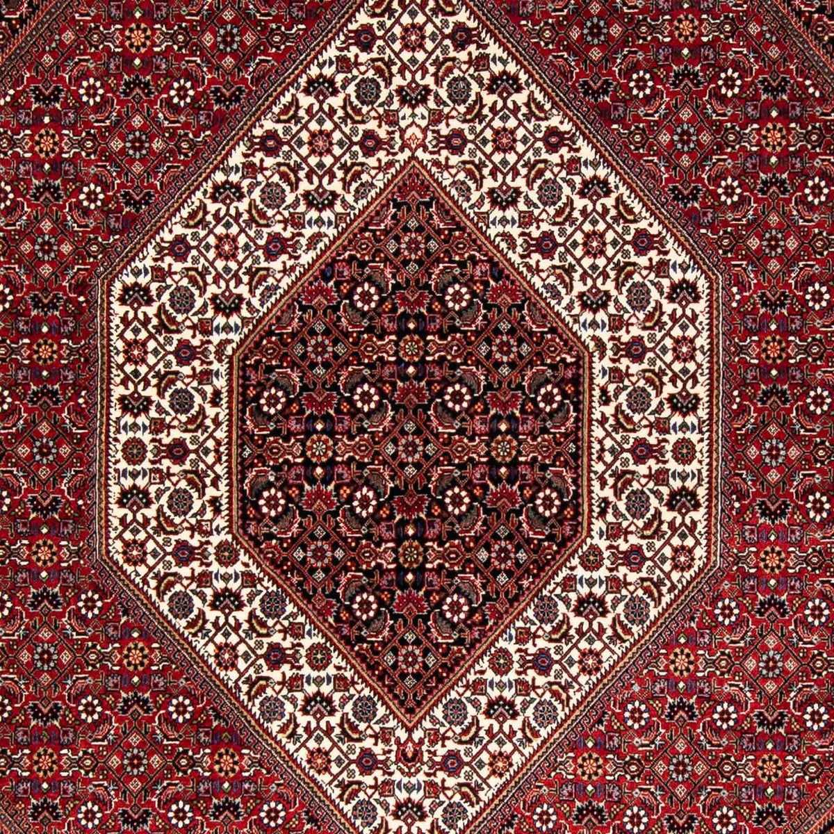 Tapis persan - Bidjar - 229 x 170 cm - rouge