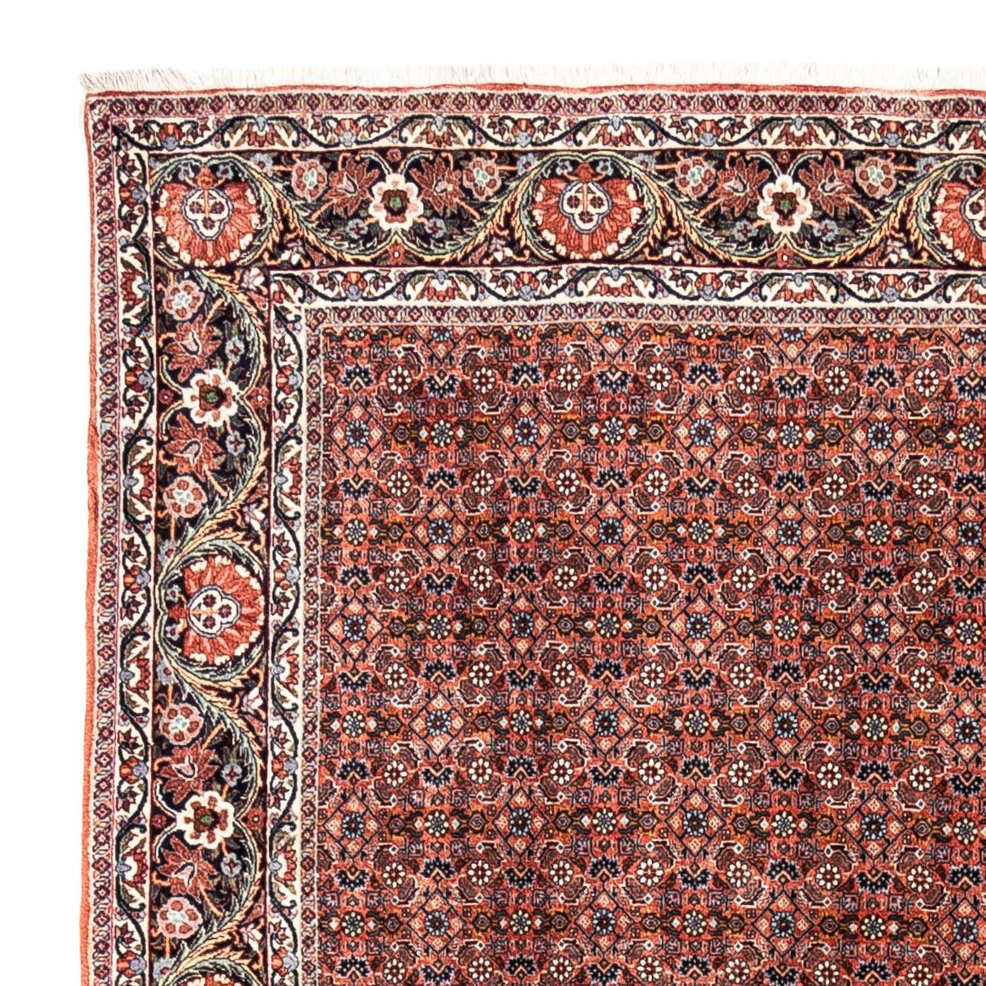 Bidjar - Takab Tapis 288x206cm - Tapis persan