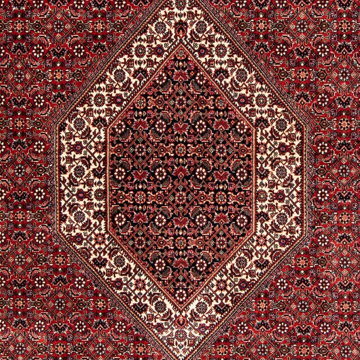 Tapis persan - Bidjar - 250 x 170 cm - rouge foncé