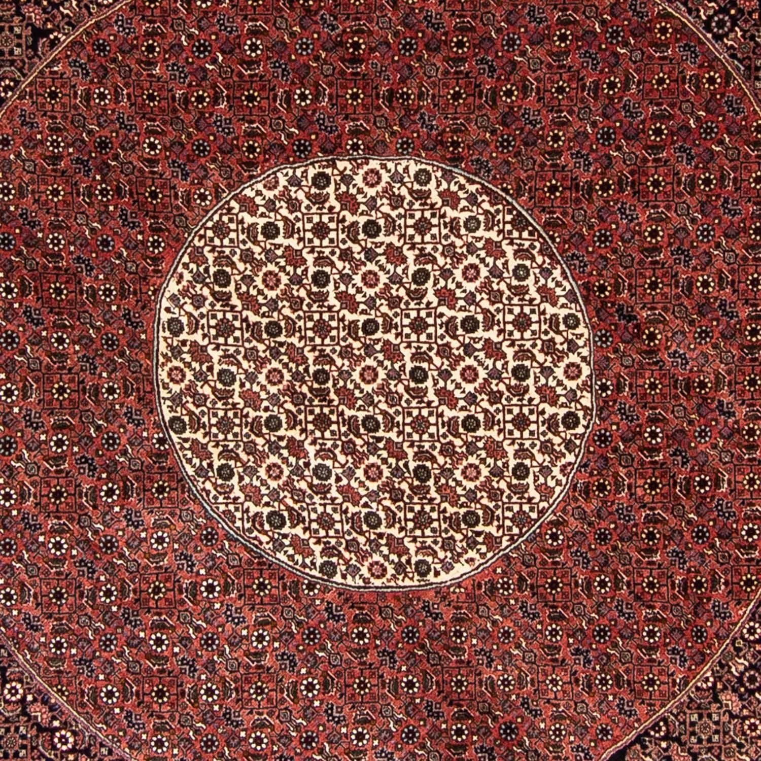 Tapis persan - Bidjar ronde  - 260 x 260 cm - rouge foncé