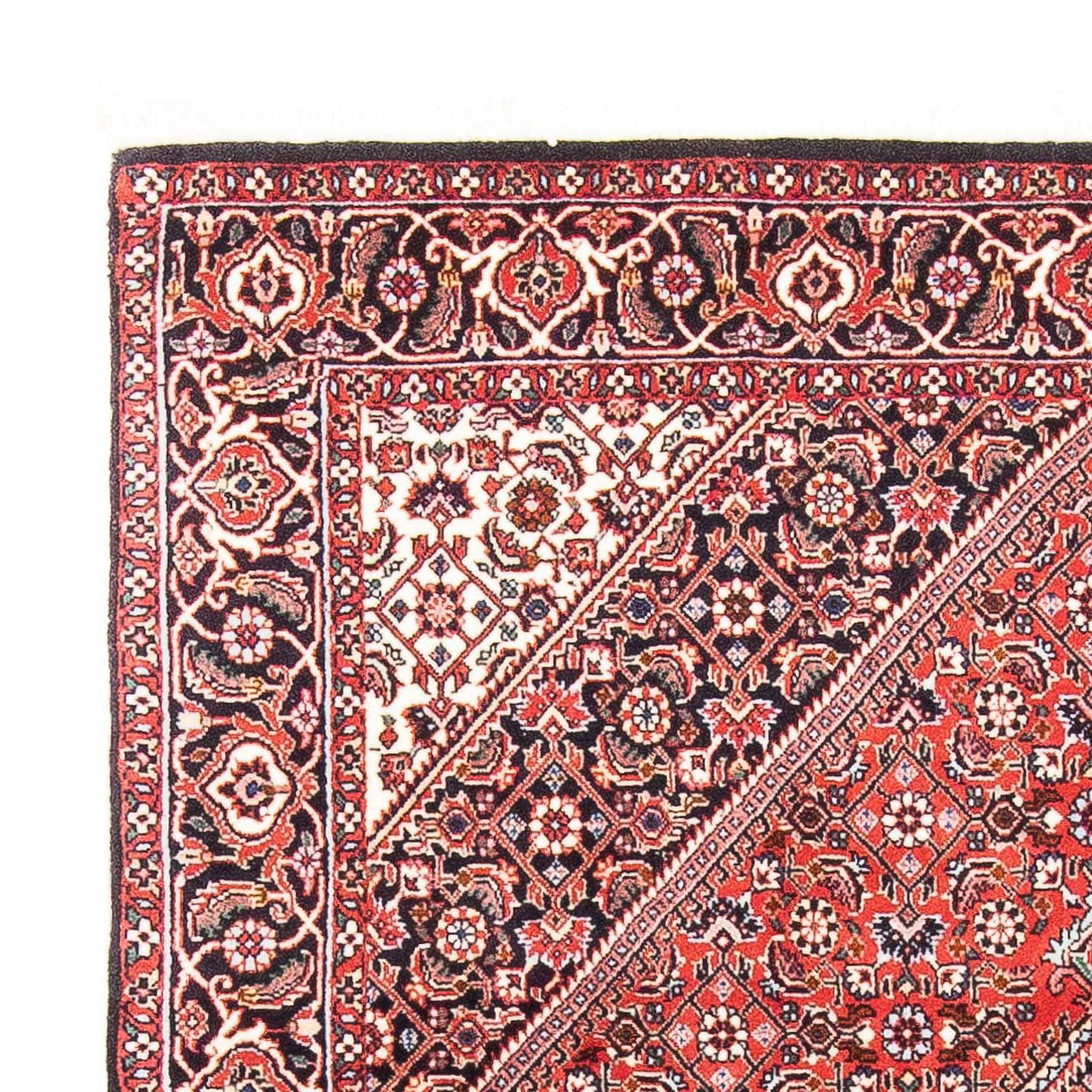 Tapis de Bidjar Tapis 186x109cm - Tapis persan