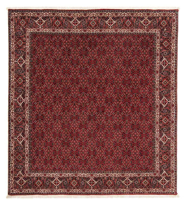 Tapis persan - Bidjar carré  - 212 x 206 cm - rouge foncé