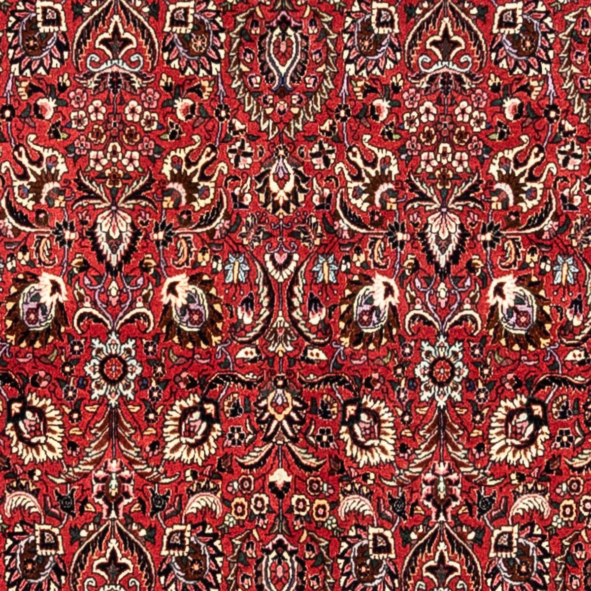 Tapis persan - Bidjar - 349 x 252 cm - rouge