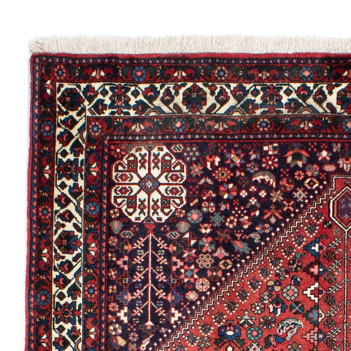 Kashkuli Tapis 153x203cm - Tapis persan