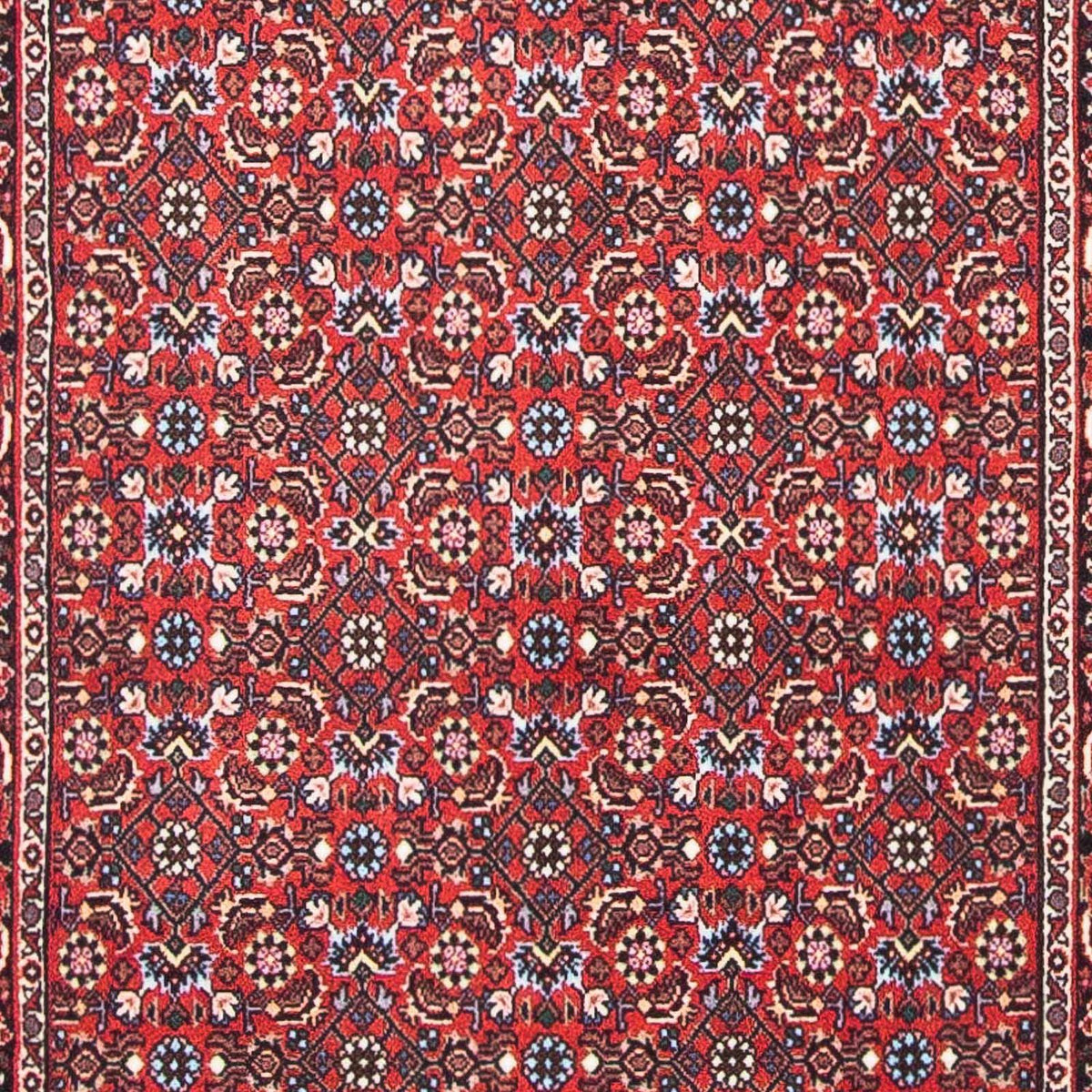 Tapis persan - Bidjar - 139 x 70 cm - rouge