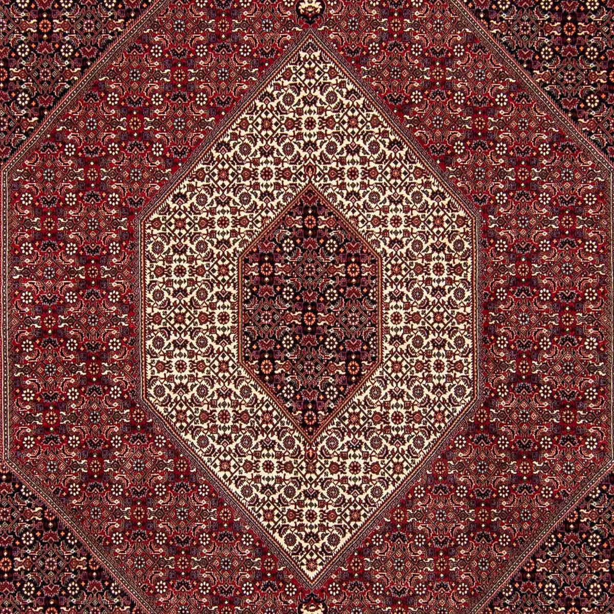 Tapis persan - Bidjar carré  - 250 x 250 cm - rouge foncé