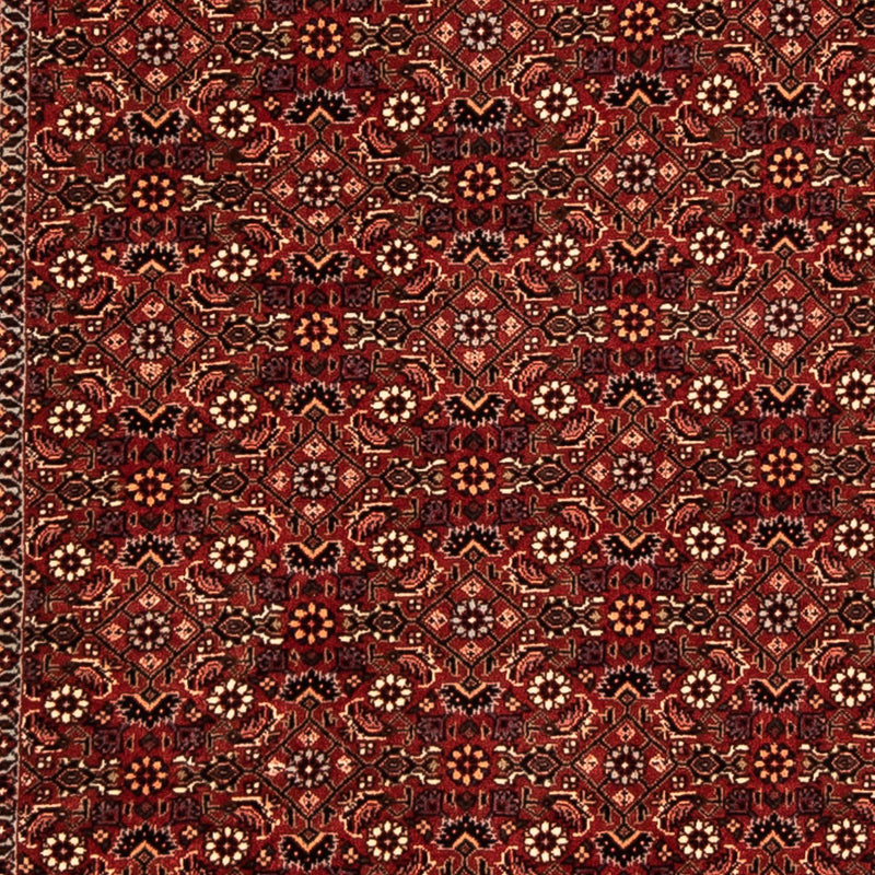 Tapis de couloir Tapis persan - Bidjar - 304 x 86 cm - rouge foncé