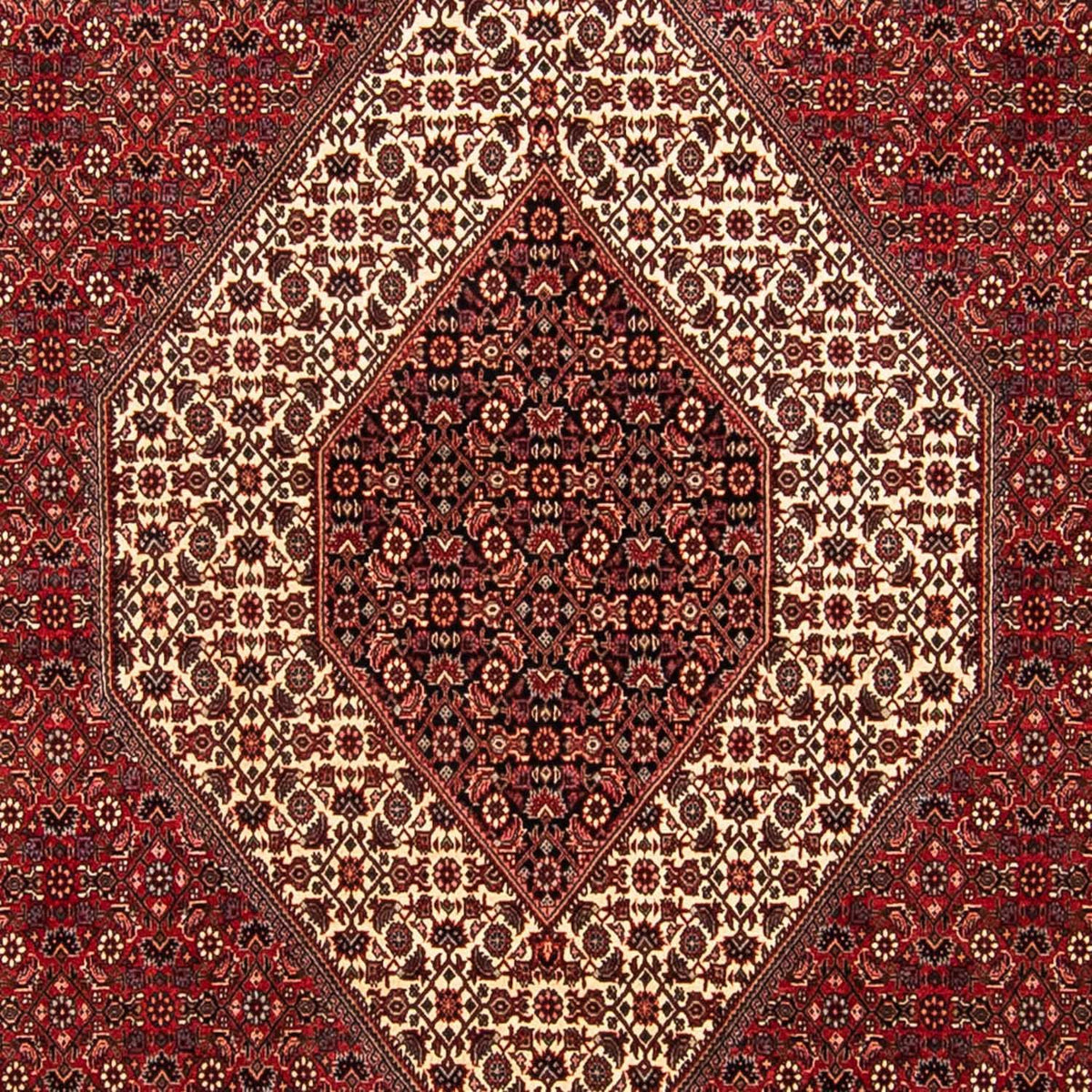 Tapis persan - Bidjar - 304 x 251 cm - rouge foncé
