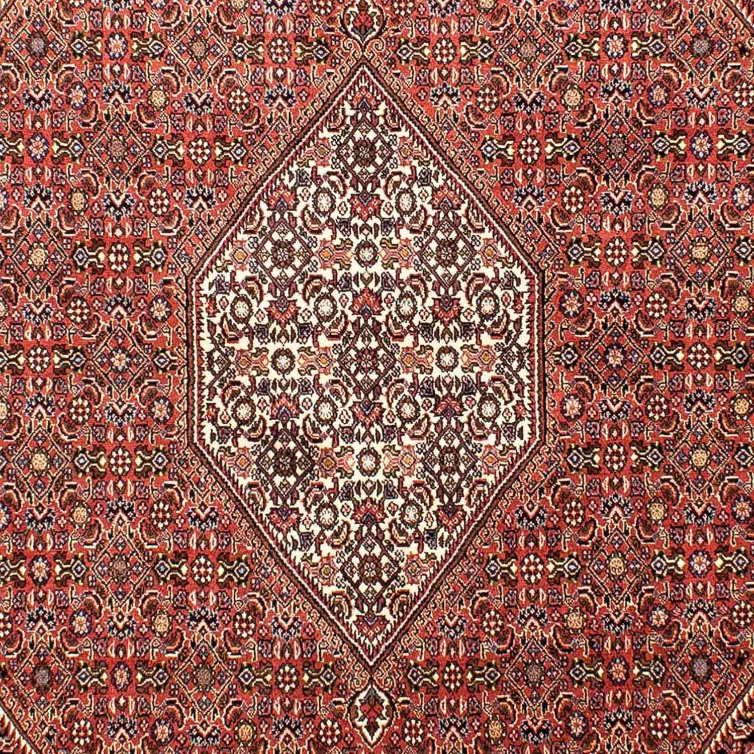 Tapis persan - Bidjar - 268 x 165 cm - rouge clair