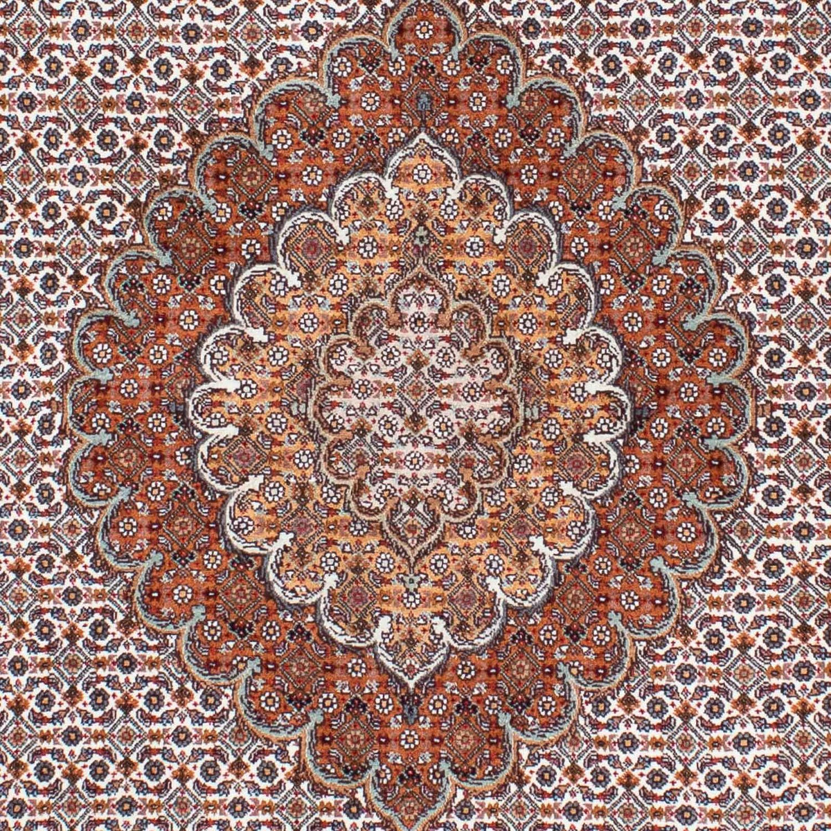 Tapis persan - Tabriz - Royal - 208 x 153 cm - marron clair