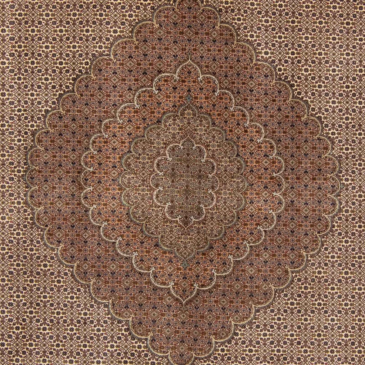 Tapis persan - Nomadic - 360 x 263 cm - marron foncé