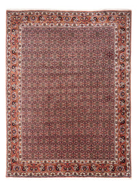 Tapis persan - Bidjar - 332 x 248 cm - rouille
