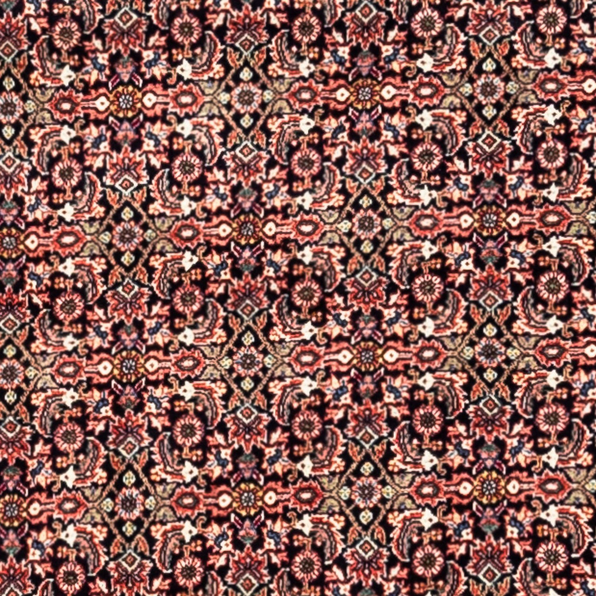 Tapis persan - Bidjar - 332 x 248 cm - rouille