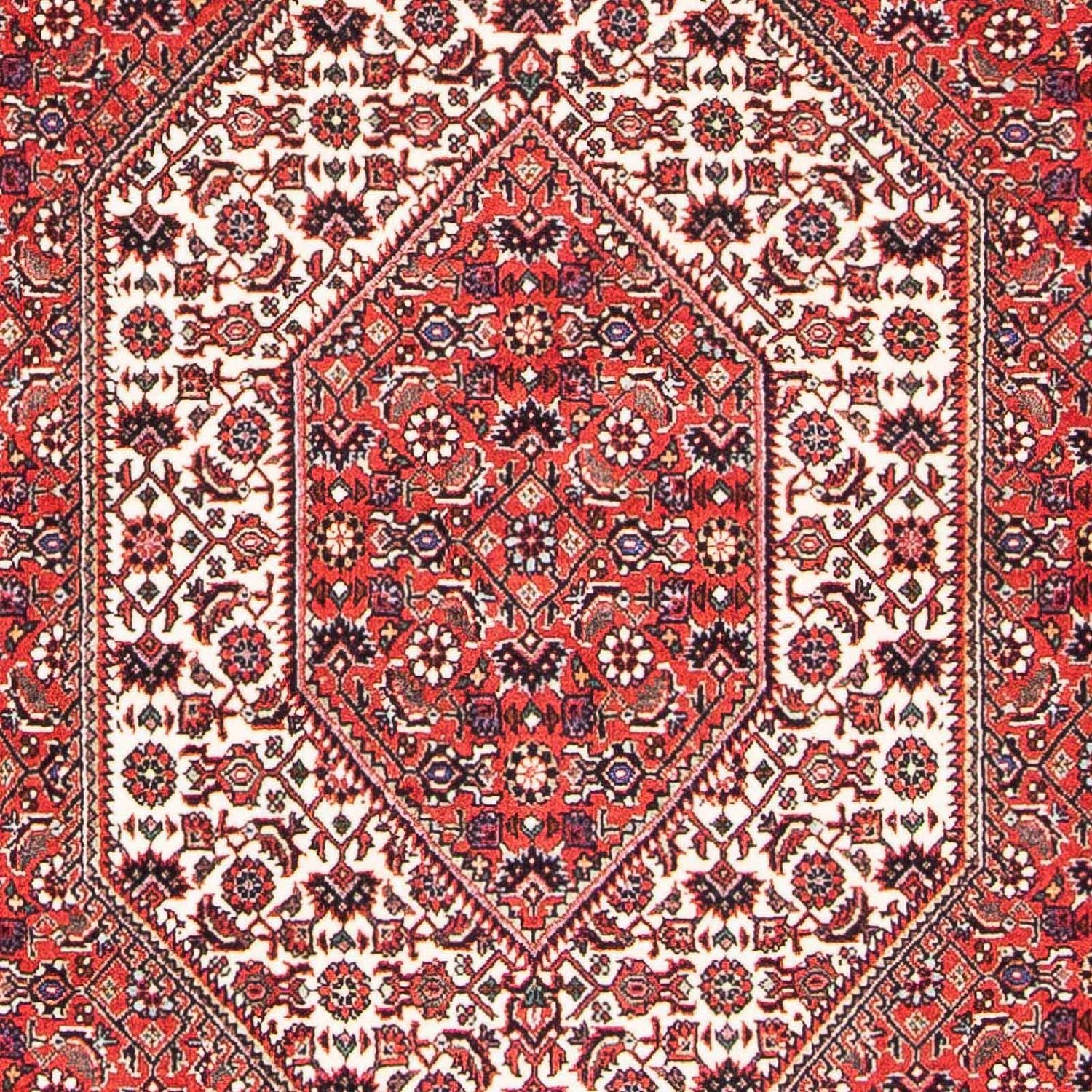 Tapis persan - Bidjar - 175 x 108 cm - rouge clair