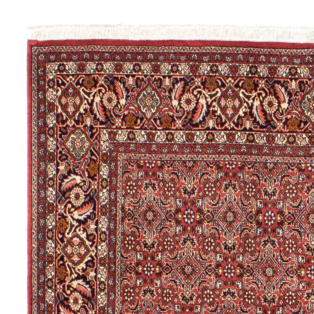 Tapis persan - Bidjar carré  - 197 x 190 cm - rouge clair