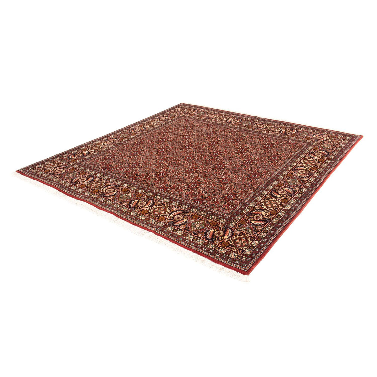 Tapis persan - Bidjar carré  - 197 x 190 cm - rouge clair