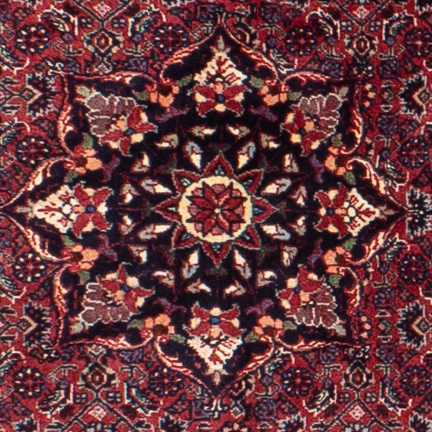 Tapis persan - Bidjar ronde  - 150 x 150 cm - rouge foncé