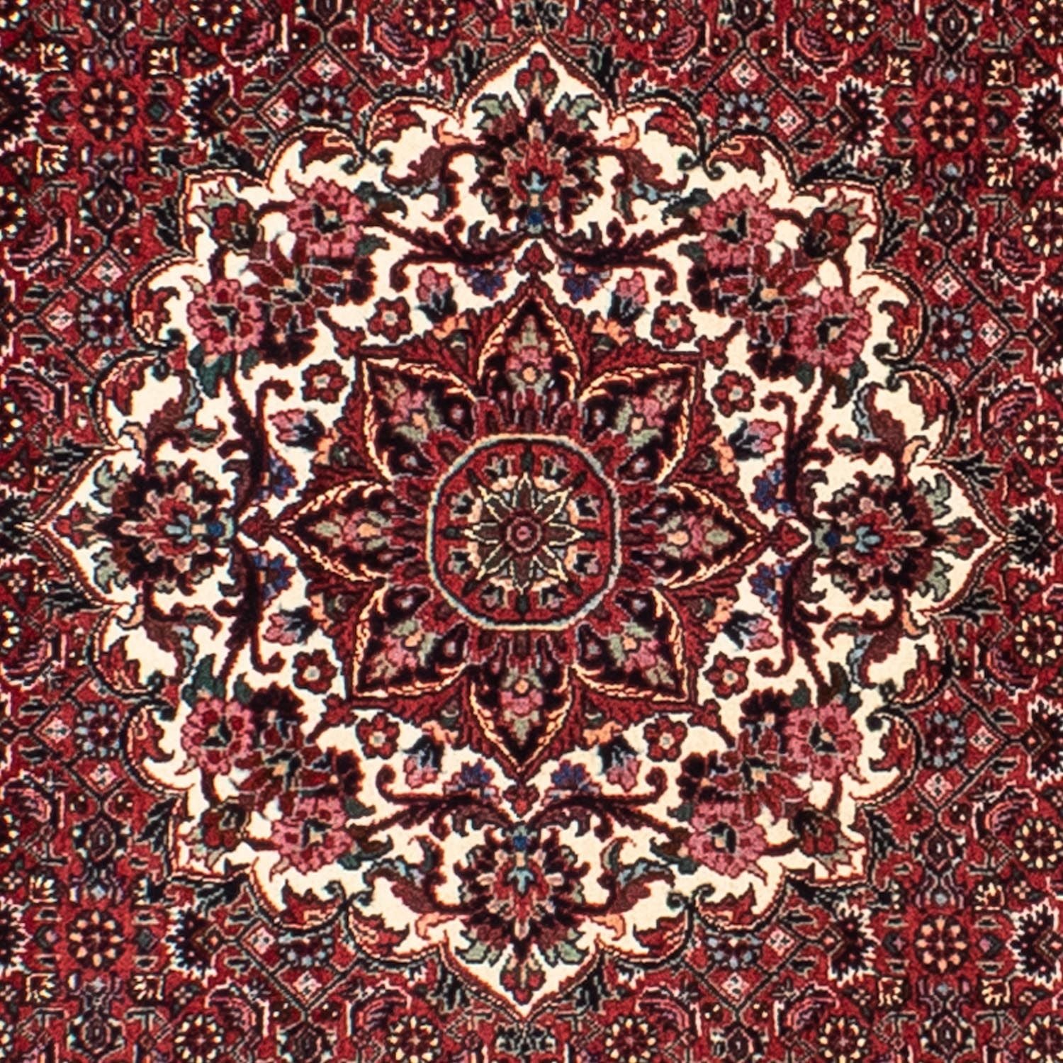 Tapis persan - Bidjar ronde  - 150 x 150 cm - rouge foncé