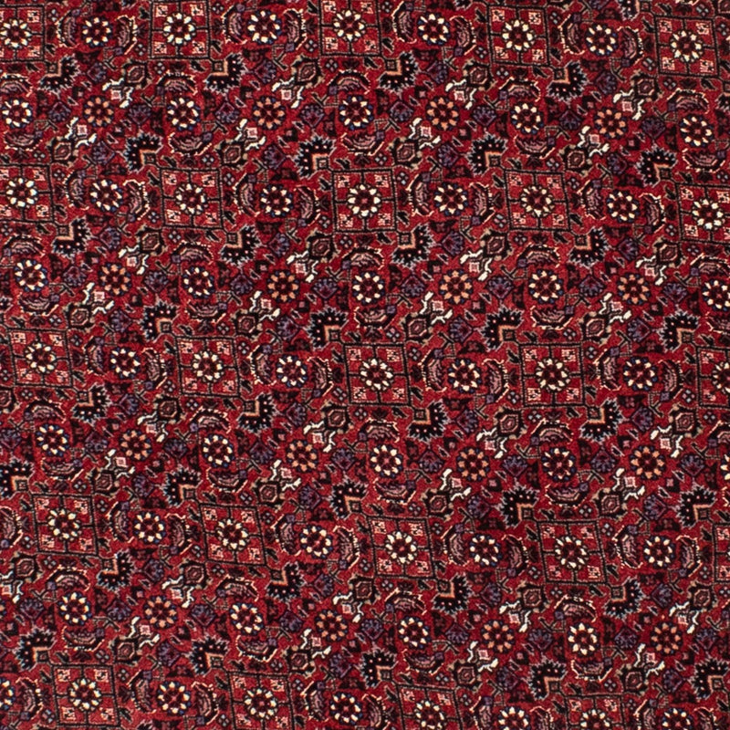 Tapis persan - Bidjar ronde  - 150 x 150 cm - rouge foncé