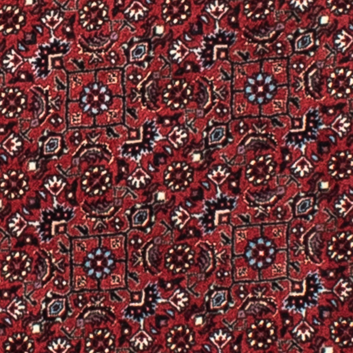 Tapis persan - Bidjar ronde  - 105 x 105 cm - rouge foncé