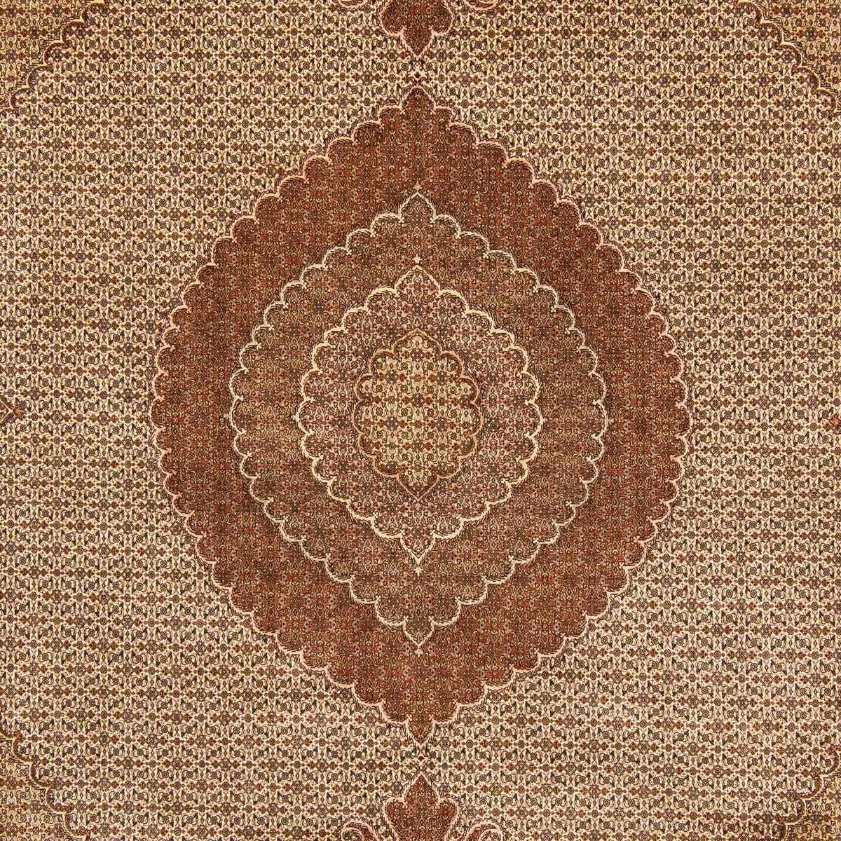 Tapis persan - Tabriz - 387 x 305 cm - marron clair