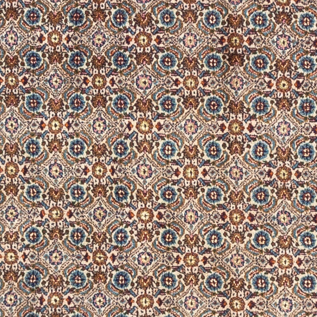 Tapis persan - Classique - 240 x 170 cm - beige