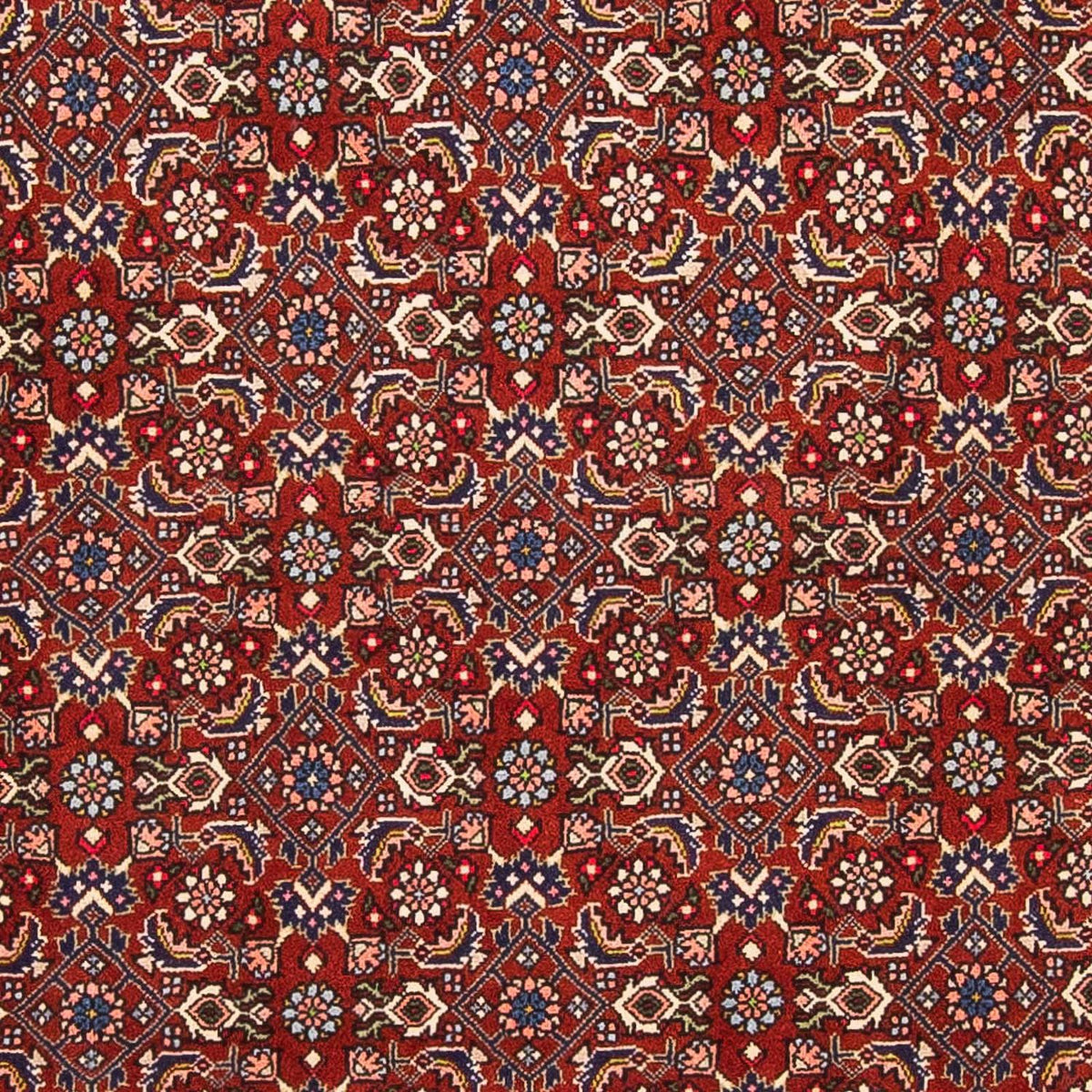 Tapis persan - Bidjar - 160 x 108 cm - rouge foncé