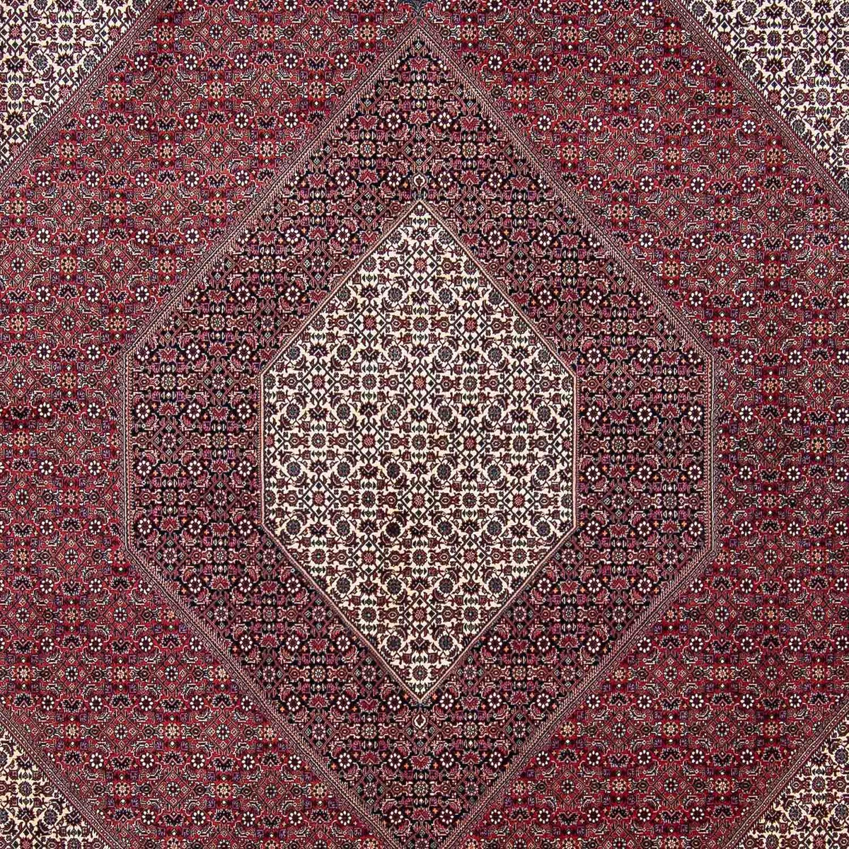 Tapis persan - Bidjar - 340 x 300 cm - rouge foncé