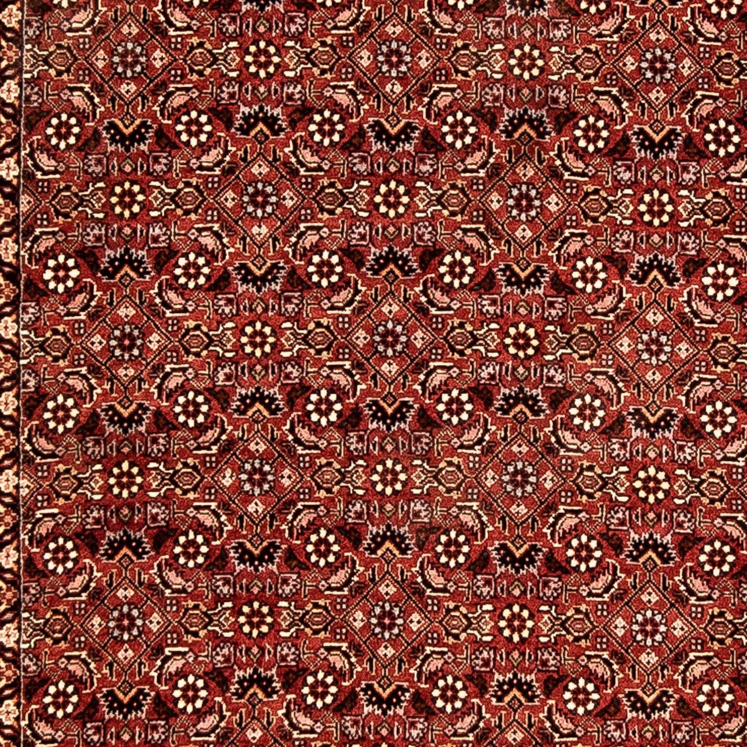 Tapis de couloir Tapis persan - Bidjar - 298 x 82 cm - multicolore