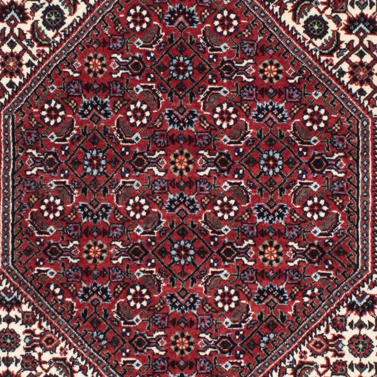 Tapis de couloir Tapis persan - Bidjar - 218 x 76 cm - beige