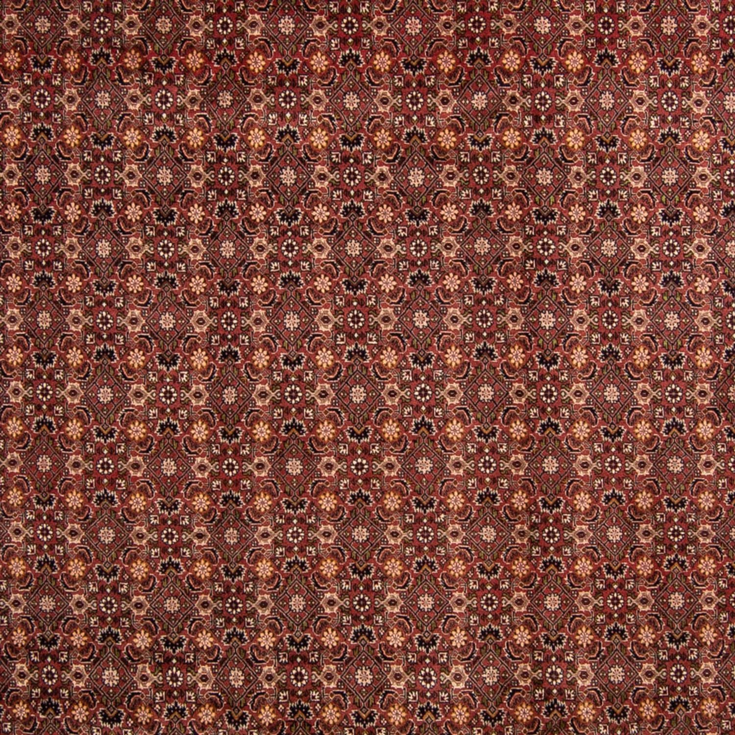 Tapis persan - Bidjar - 352 x 252 cm - marron