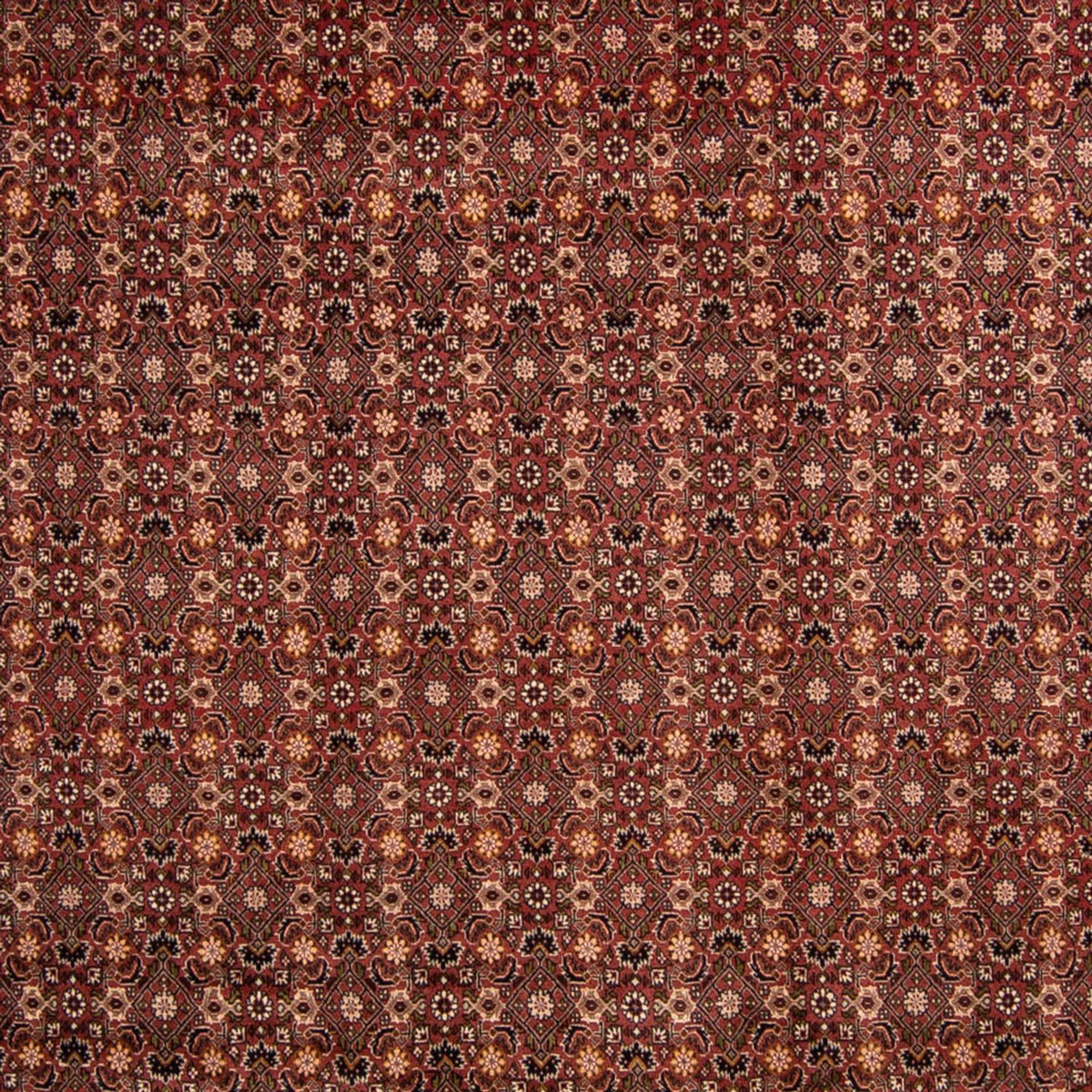 Tapis persan - Bidjar - 352 x 252 cm - marron
