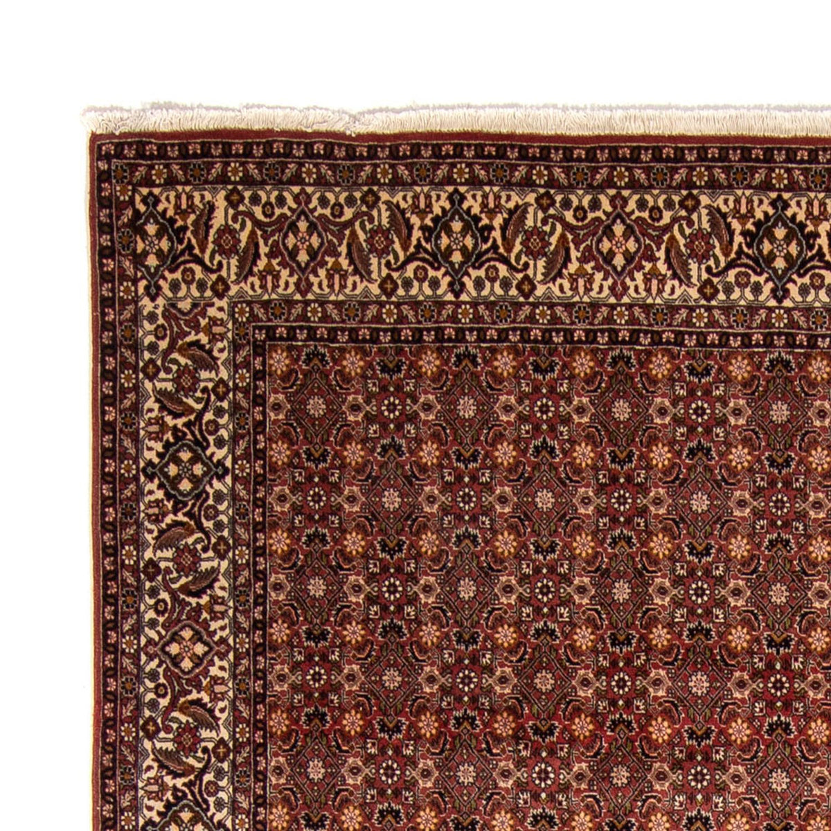 Tapis persan - Bidjar - 352 x 252 cm - marron