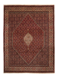 Tapis persan - Bidjar - 329 x 255 cm - marron