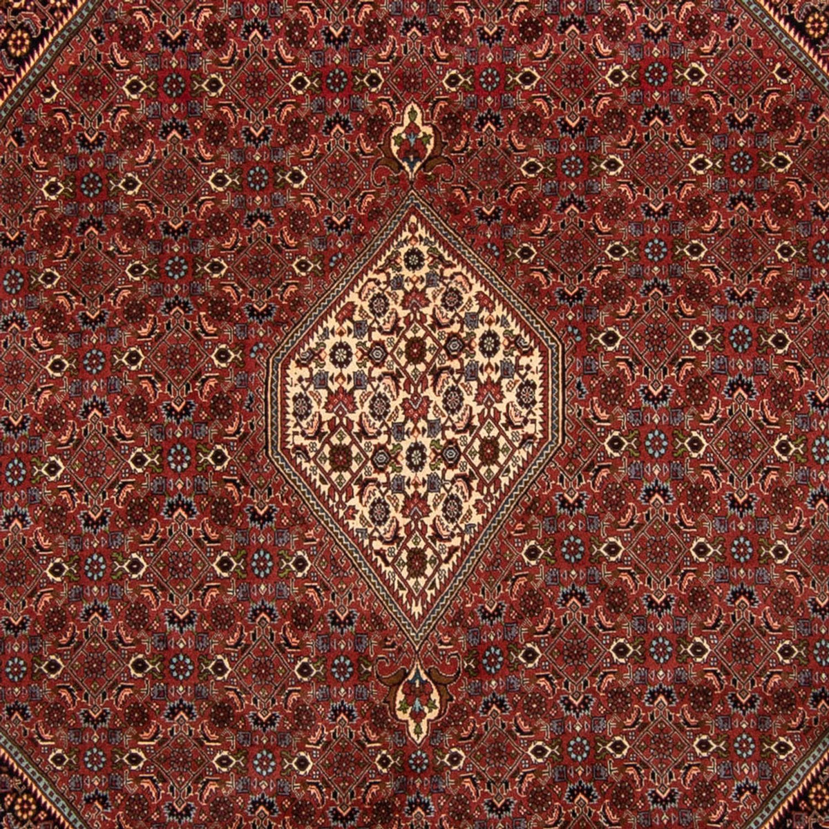 Tapis persan - Bidjar - 329 x 255 cm - marron