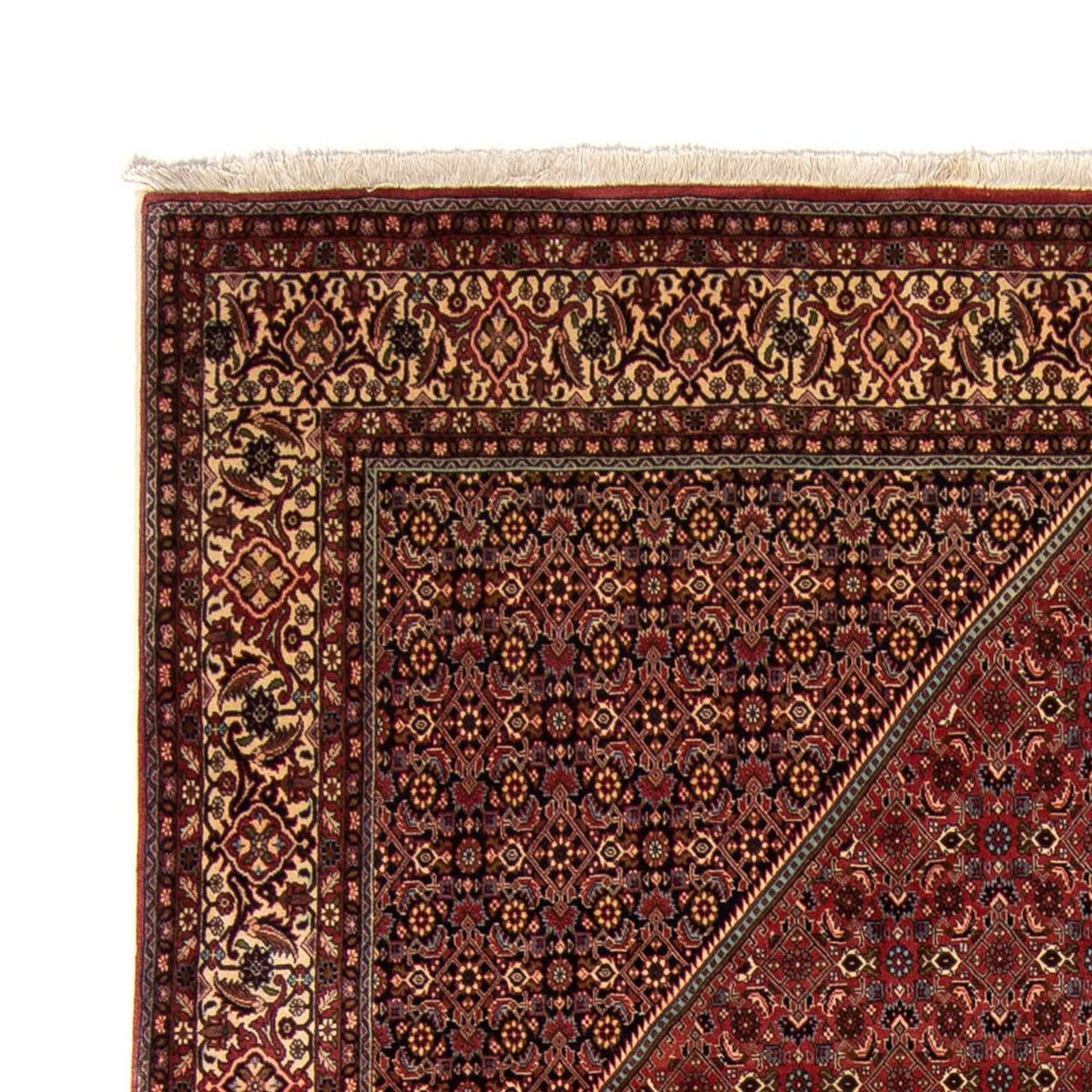 Tapis persan - Bidjar - 329 x 255 cm - marron