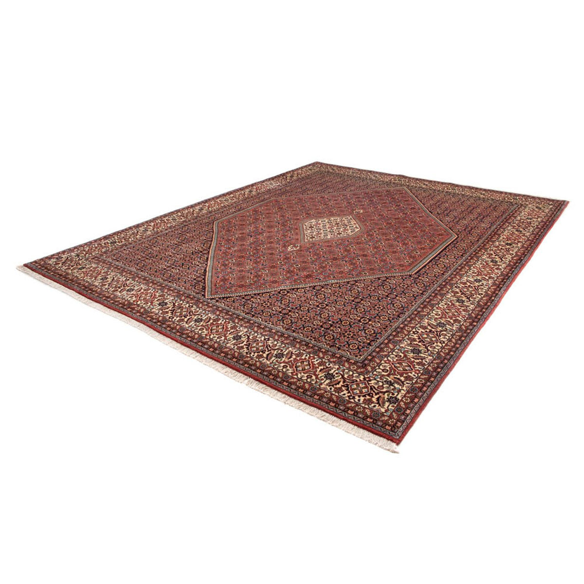 Tapis persan - Bidjar - 329 x 255 cm - marron