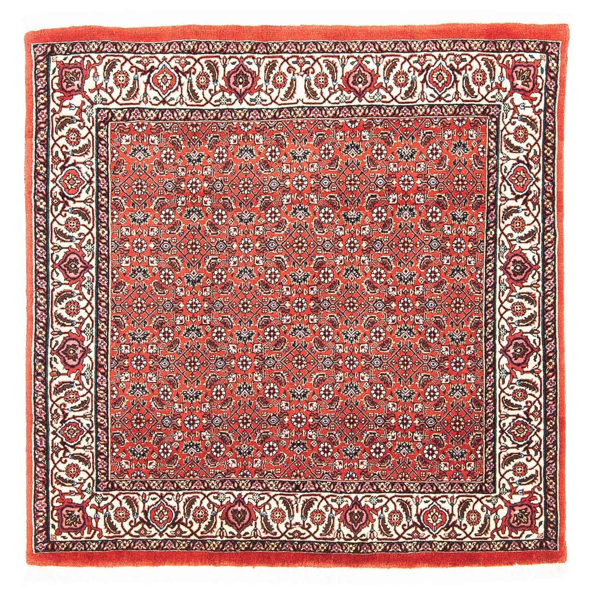 Tapis persan - Bidjar carré  - 97 x 95 cm - rouge