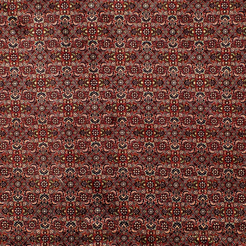 Tapis persan - Bidjar - 298 x 202 cm - marron