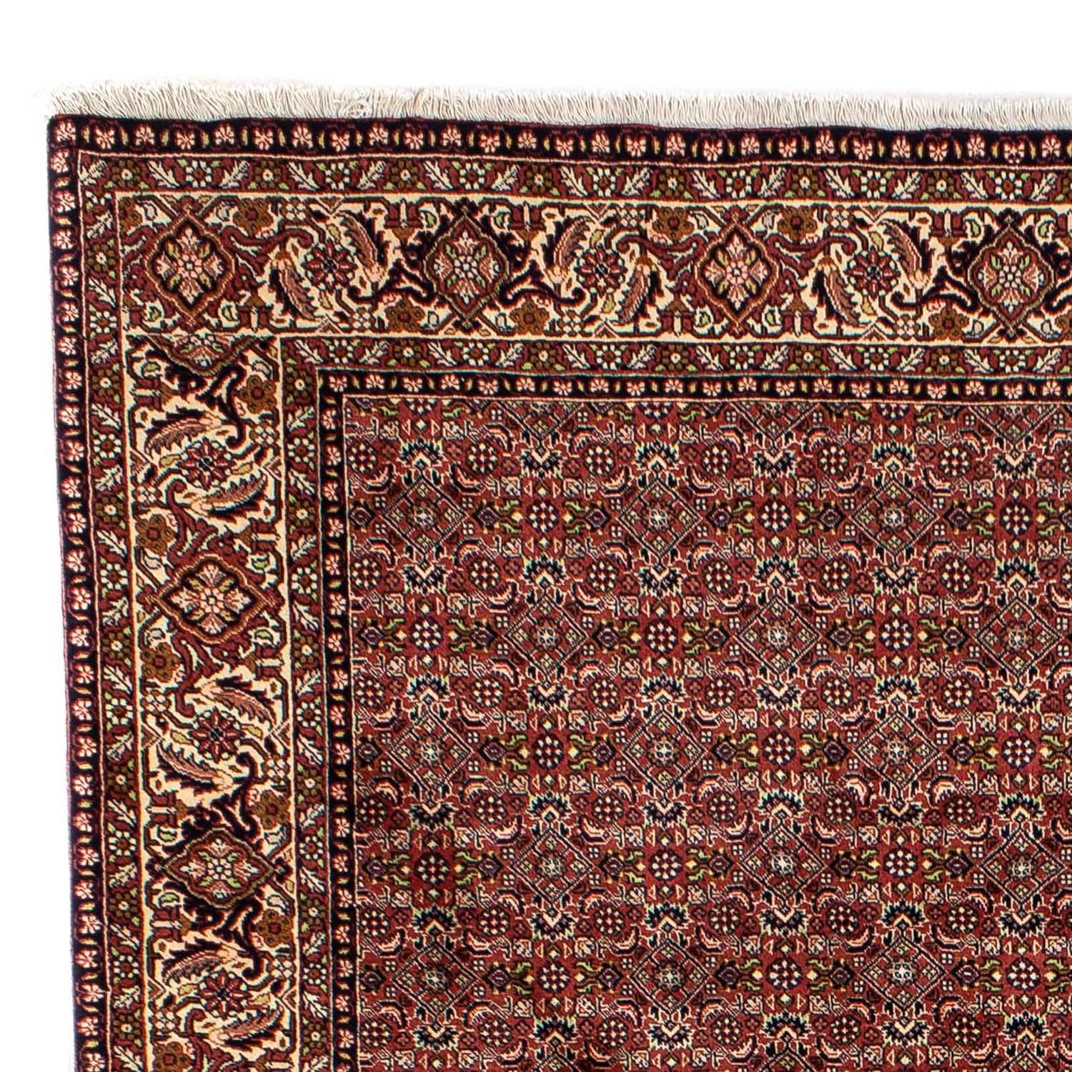 Tapis persan - Bidjar - 298 x 202 cm - marron