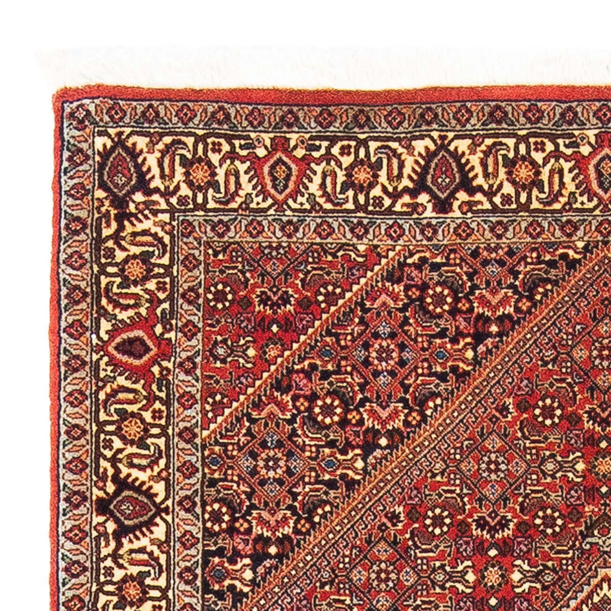 Tapis persan - Bidjar - 153 x 89 cm - rouge
