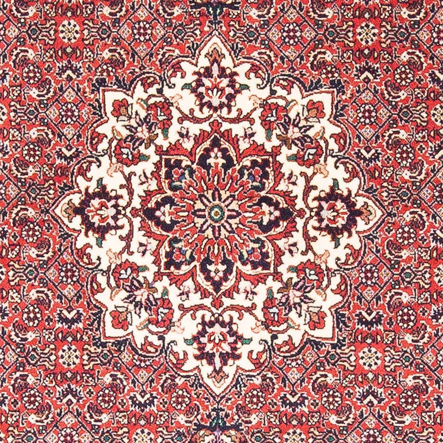 Tapis persan - Bidjar - 148 x 91 cm - rouge