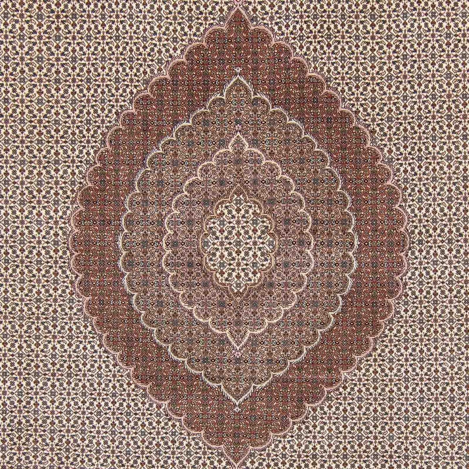 Tapis persan - Tabriz - 348 x 255 cm - marron