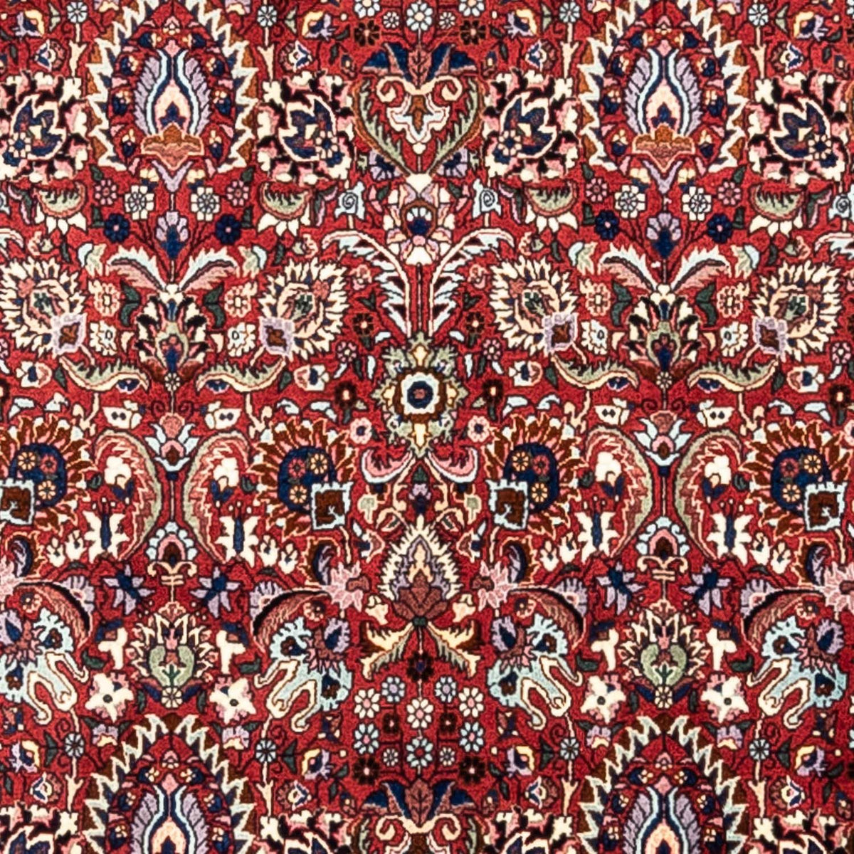 Tapis persan - Bidjar - 343 x 255 cm - rouge