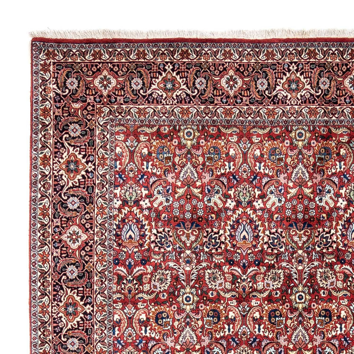Tapis persan - Bidjar - 343 x 255 cm - rouge