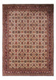 Bidjar - Takab Tapis 252x356cm - Tapis persan