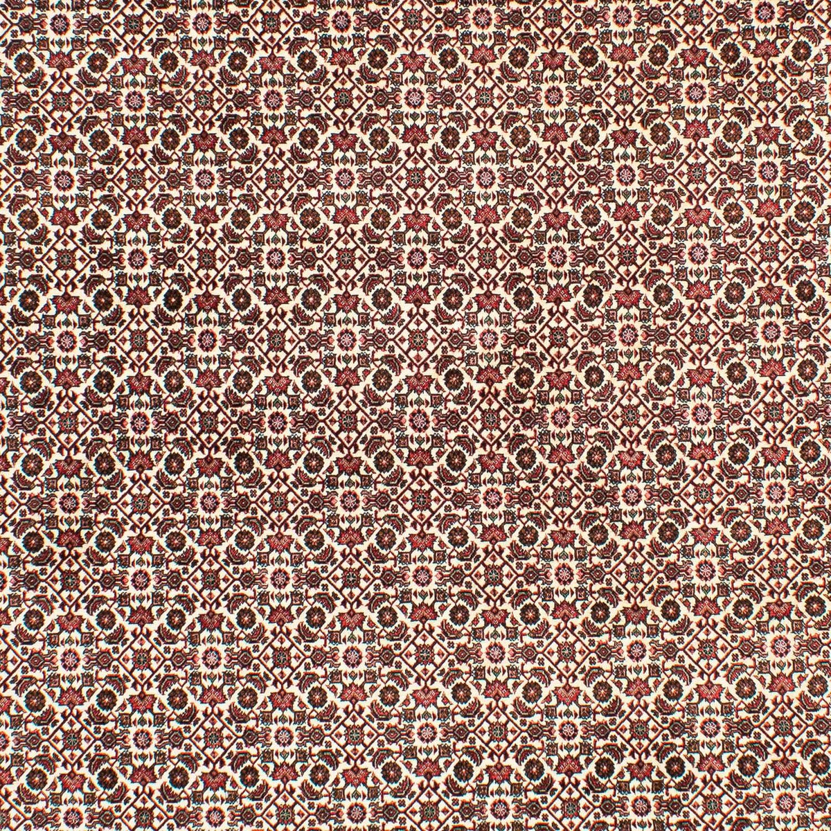 Tapis persan - Bidjar - 294 x 200 cm - beige